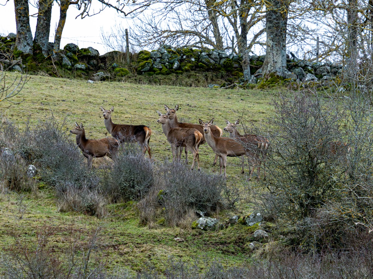 18012026-test (1).jpg